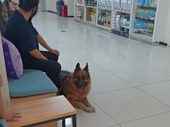 -美联众合动物医院·24h京西诊疗中心