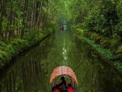 -合肥滨湖国家森林公园