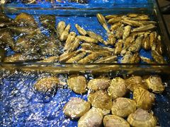 -大东海海鲜酒楼(渔人码头总店)