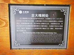-大槐树寻根祭祖园
