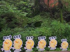 -终南山南五台景区