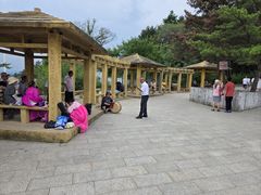 -帽儿山国家森林公园