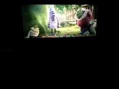 -奥斯卡升龙国际影城(RealD Cinema)