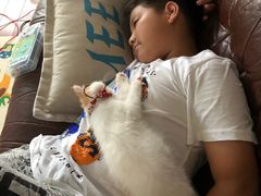 -十年猫舍·猫咪专门店(普陀店)