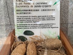 -石排湾郊野公园
