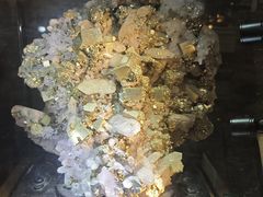 -陕西自然博物馆