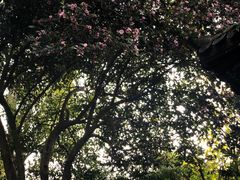 -杭州黄龙洞