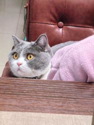 -由甲·美甲美睫工作室