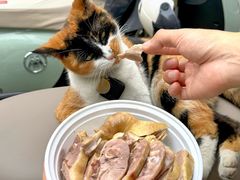 -达记卤菜店(红庙店)