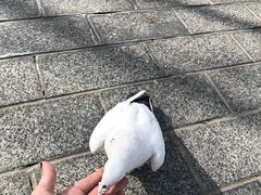 -北京世界公园