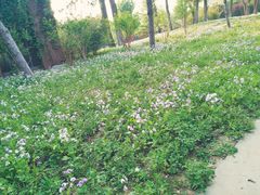 -清青快餐厅