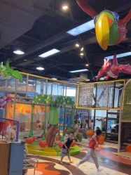-卡通尼乐园(宝山龙湖天街店)