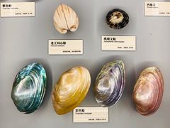 -天津古林古海岸遗迹博物馆