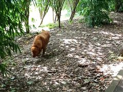 -贵阳市花溪国家城市湿地公园