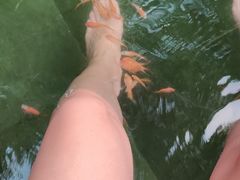 -深圳东部华侨城茵特拉根酒店