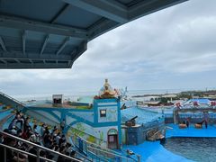 -海合安青岛极地海洋公园