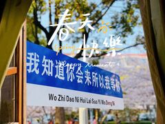 -高东镇樱花园