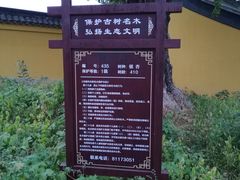 -龙寺生态园