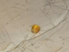 -惠州金海湾嘉华度假酒店