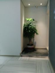 -苑苑vbeauty科技美容SPA