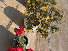 -StorHub 趣存自助仓·迷你仓(虹桥店)