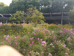 -映月湖中央公园