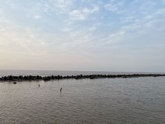 -南汇嘴观海公园