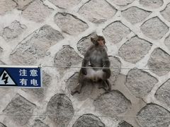 -哈尔滨北方森林动物园
