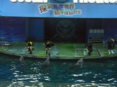 -苏州海洋馆