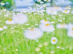 -龙美术馆西岸馆-停车场