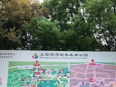 -上海海湾国家森林公园