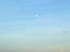 -南汇新城海滩