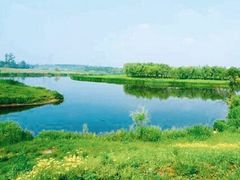 -蒲河岛湿地公园