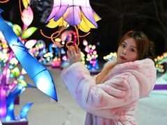 -沈阳奥体冰雪嘉年华