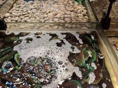 -领鲜活海鲜榴莲自助火锅(东门店)