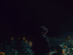 -龙江公园