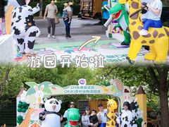 -胡姬港湾幼儿园(张江春晓校区)