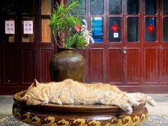 -西园戒幢律寺