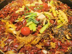 -老板恋上鱼(印象城店)