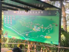 -呀诺达热带雨林