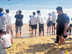 -大梅沙海滨公园