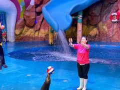 -烟台海昌鲸鲨海洋公园