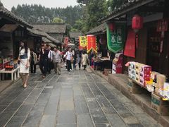 -秀丽东方