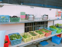 -霞姐屯昌枫木香草鸭店(海螺店)