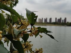 -白塘生态植物园