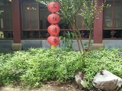 -杭州西湖风景名胜区-三生石