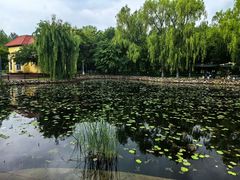 -黛秀湖公园