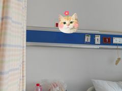 -复旦大学附属华山医院(总院)