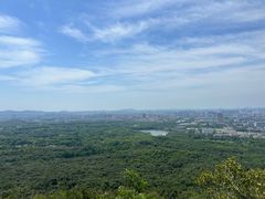 -紫金山山顶公园