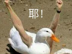 -沁园(工商大学339号店)